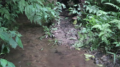 MVI_4756.MP4