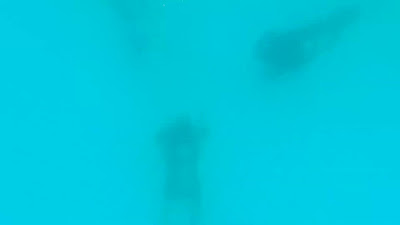 GX017888.MP4
