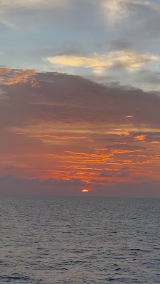 IMG_0805.MOV