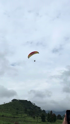 IMG_1255.MOV