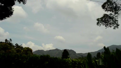 DSC_0014.MOV