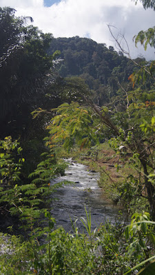 DSC04077.JPG