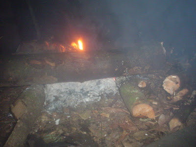 DSC02804.JPG