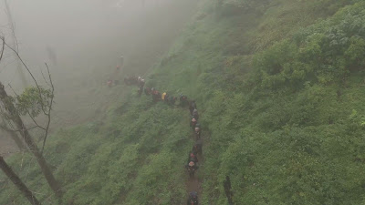 DJI_20260121112202_0174_D.MP4