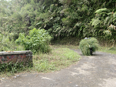 CIMG2913.JPG