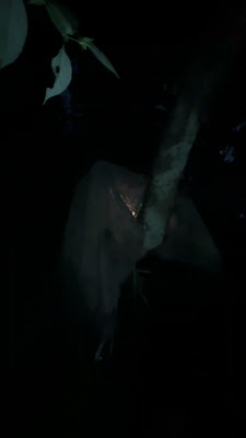 IMG_6689.MOV