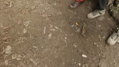 YDXJ0892.MP4
