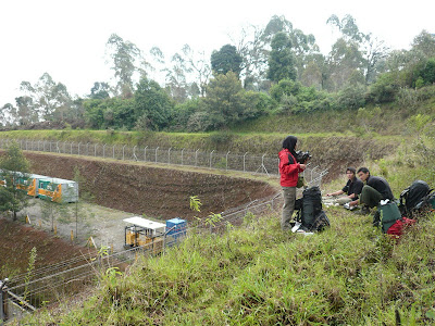 P1040675.JPG