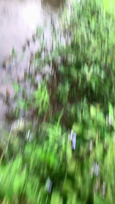 IMG_4878.MOV