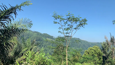 IMG_1940.MOV