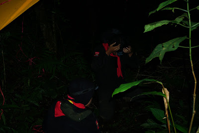 DSC07889.JPG