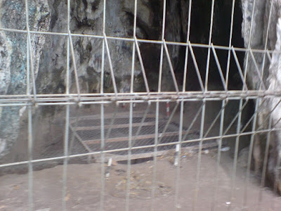 DSC00105.jpg