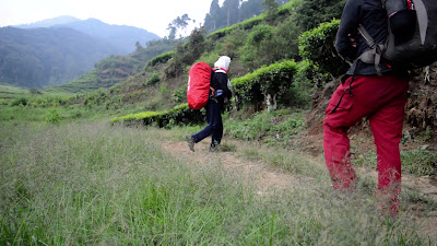 DSC_0243.MOV