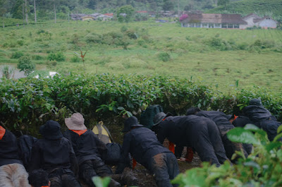 Mountaineering Course-136.jpg