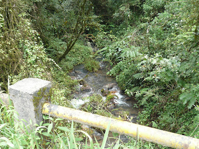 P1040880.JPG