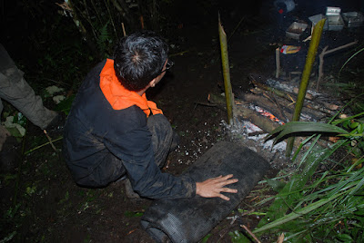 DSC_0384.JPG