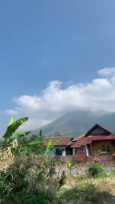 IMG_2541.MOV