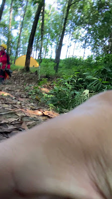 2025_04_27_08_38_IMG_3515.MOV