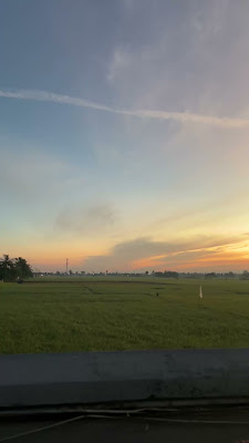 IMG_2612.MOV