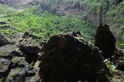 _MG_0335.JPG