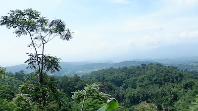 DSCF6470.MOV