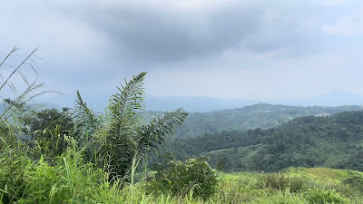 IMG_7347.MOV