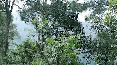 DSCF6485.MOV