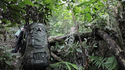 DJI_0088_001.MP4