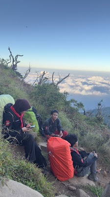 IMG_4195.DNG