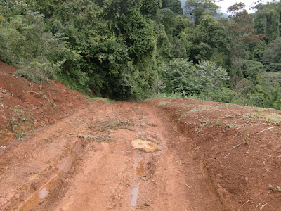 CIMG2902.JPG