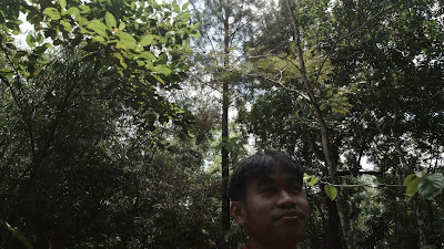 DJI_0504.MOV
