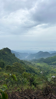 IMG_6610.JPG