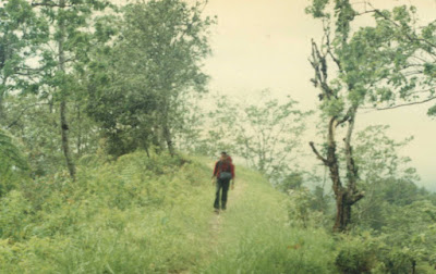 2505.JPG