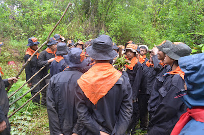 DSC_0185.JPG