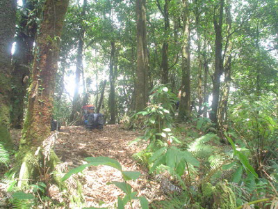 DSC01522.JPG