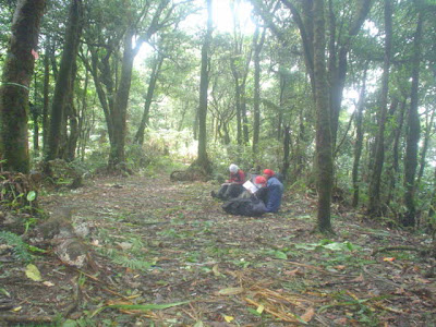 DSC01391.JPG
