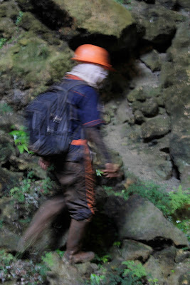 _MG_0338.JPG