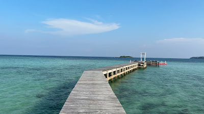 IMG_5014.MOV