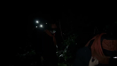 IMG_0194.MOV