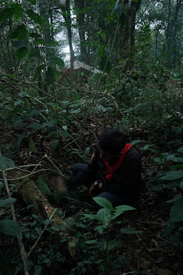 LDK00518.JPG