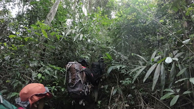 DJI_0089_001.MP4