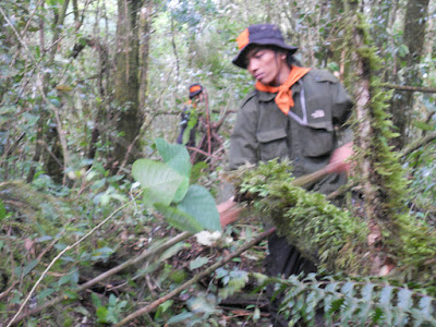 DSCN1462.JPG