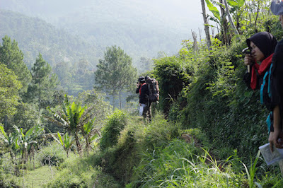 _MG_5489.JPG