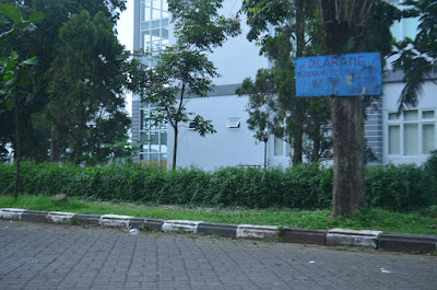 DSC_0780.JPG
