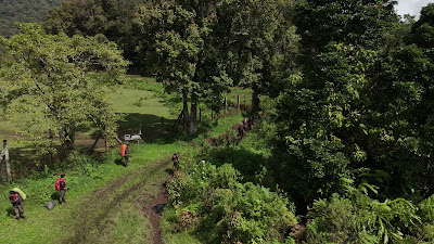 DJI_20260125103807_0186_D.MP4