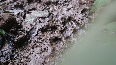 MVI_4755.MP4