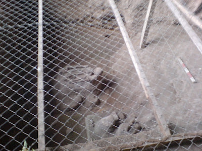 DSC00111.jpg