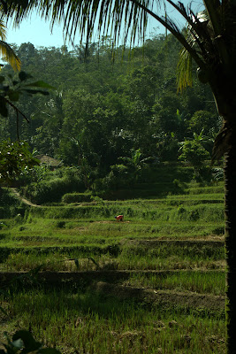 DSC02938.ARW