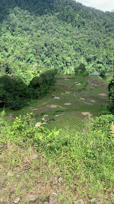 IMG_4850.MOV