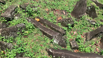 IMG_2095.MOV